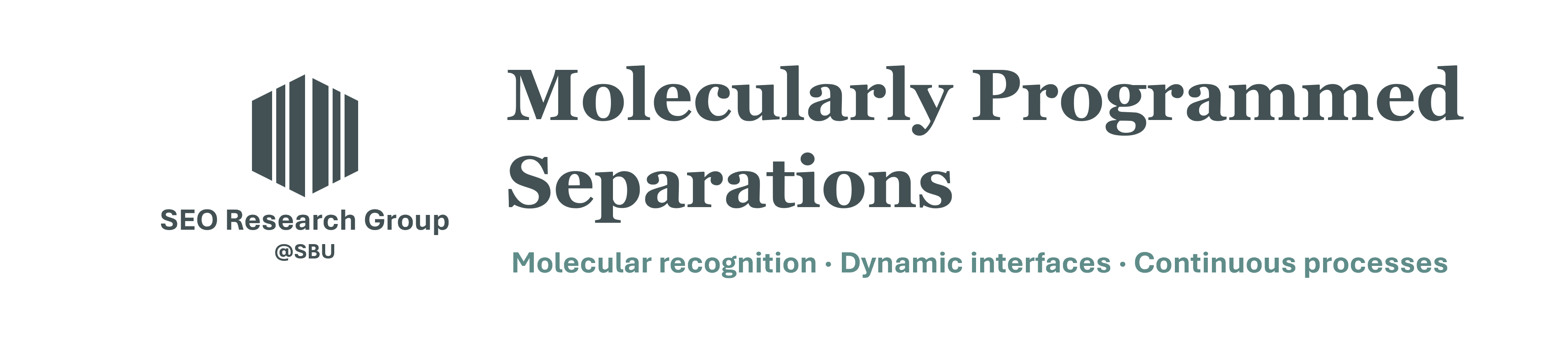 Seo Research Group: Molecularly Programmed Separations